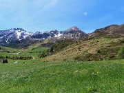 71 Rientriamo su pratoni verdeggianti alla Baita del camoscio